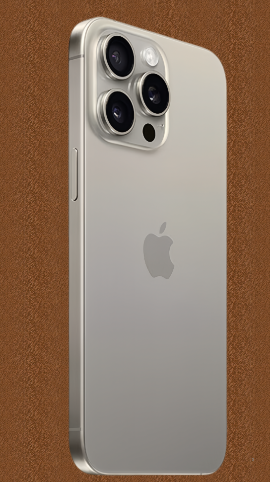 Superior Sitting Services